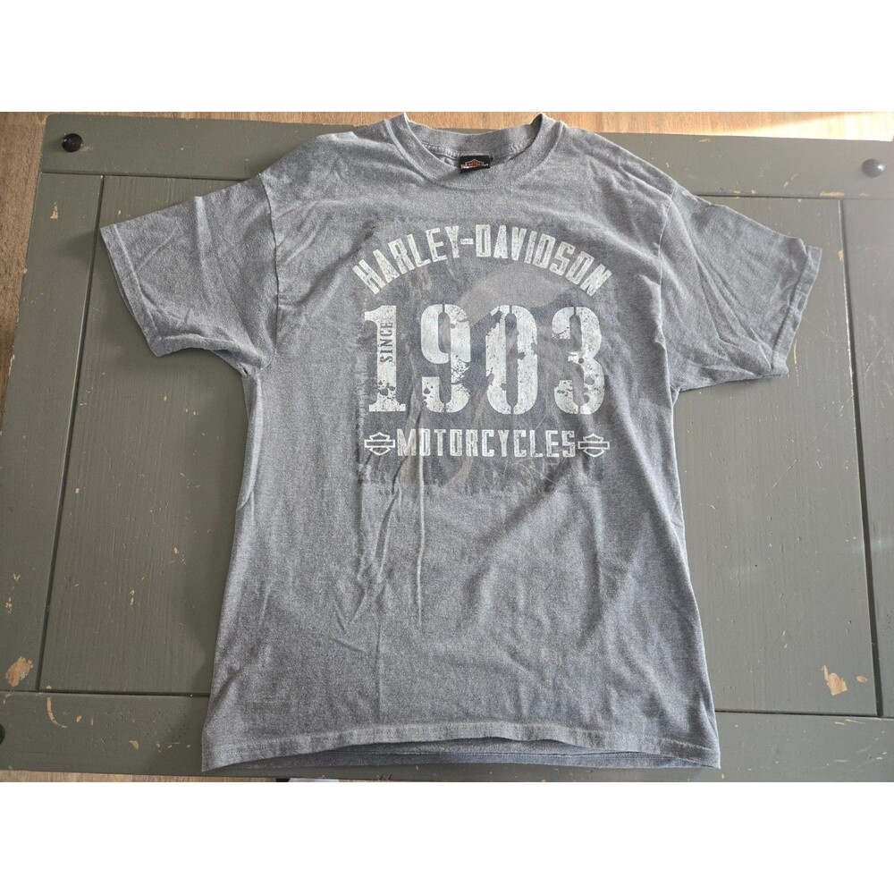 HARLEY DAVIDSON Cherokee North Carolina Gray Men's Large Tshirt